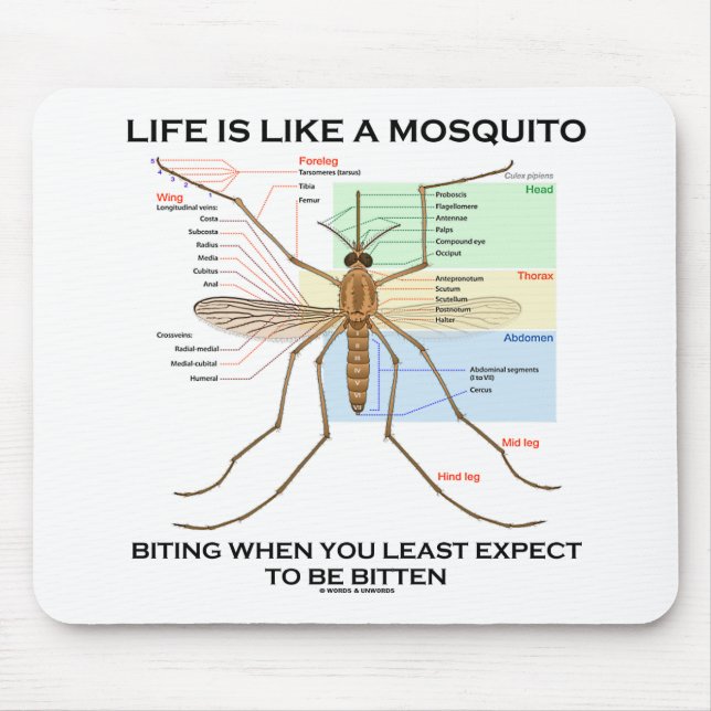 Life Is Like A Mosquito Biting When Least Expect Mouse Pad (Front)