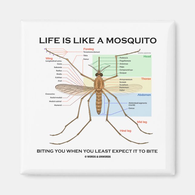 Life Is Like A Mosquito Biting You When You Least Magnet (Front)