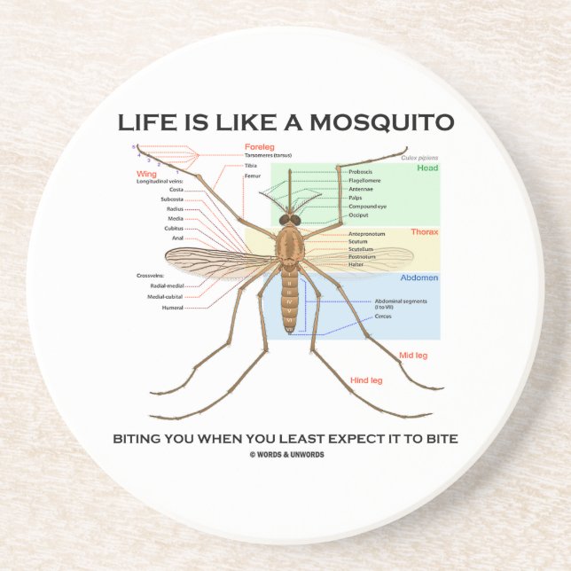 Life Is Like A Mosquito Biting You When You Least Sandstone Coaster (Front)
