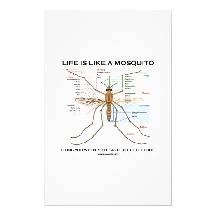 Life Is Like A Mosquito Biting You When You Least Stationery Design