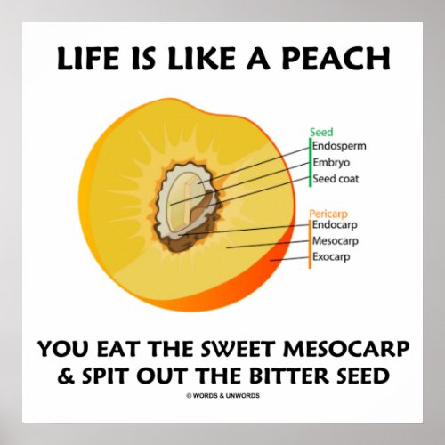 Life Is Like A Peach Eat Sweet Mesocarp Food Humor Poster