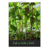 Life is Like a Seed adjustable Text (Front)