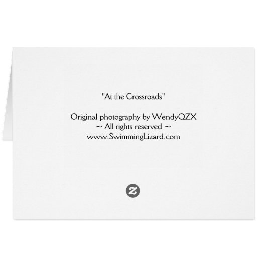 "Life is not a race..." (Back Horizontal)