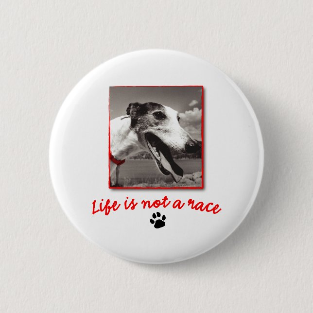 Life is NOT a Race Pinback Button (Front)