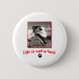 Life is NOT a Race Pinback Button