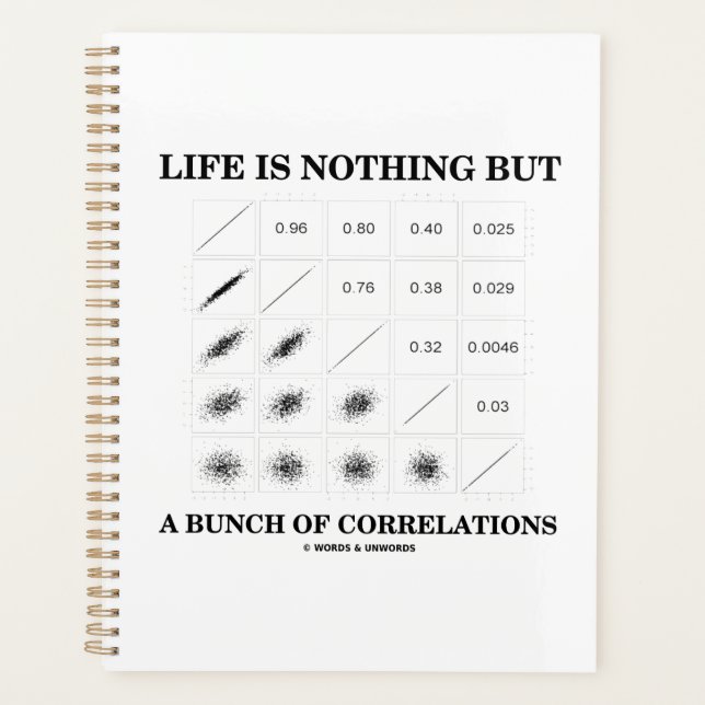 Life Is Nothing But A Bunch Of Correlations Stats Planner (Front)