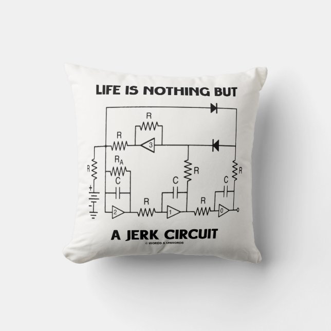 Life Is Nothing But A Jerk Circuit Physics Humor Throw Pillow (Front)