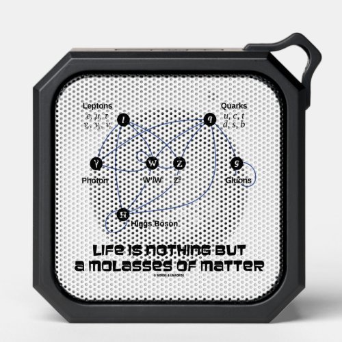 Life Is Nothing But A Molasses Of Matter Physics Bluetooth Speaker