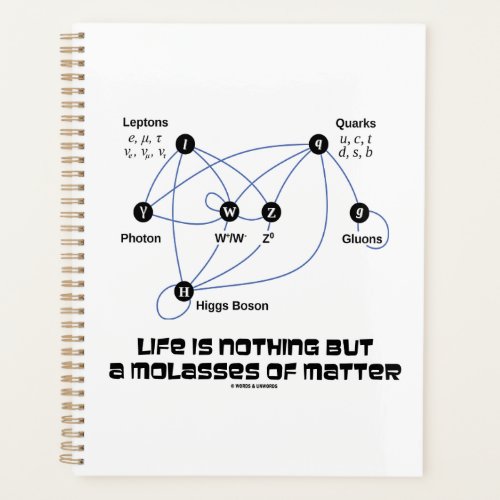 Life Is Nothing But A Molasses Of Matter Physics Planner