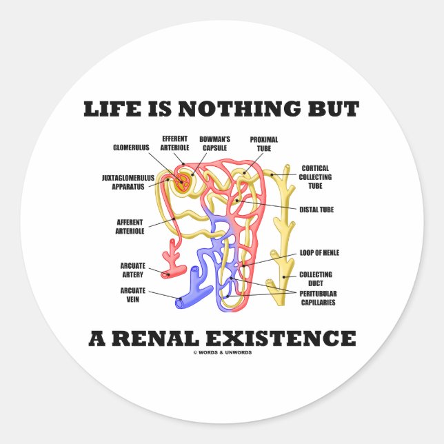Life Is Nothing But A Renal Existence Classic Round Sticker (Front)