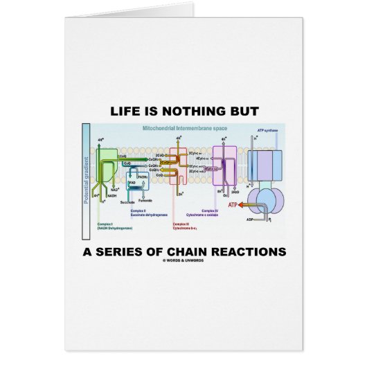 Life Is Nothing But A Series Of Chain Reactions Cards (Front)