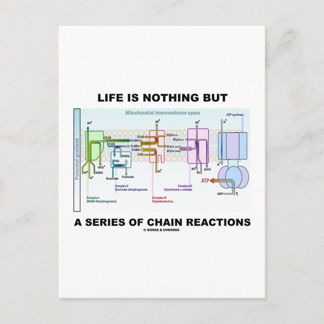 Life Is Nothing But A Series Of Chain Reactions Postcard (Front)