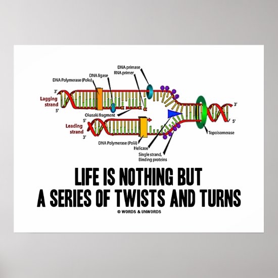 Life Is Nothing But A Series Of Twists And Turns Poster