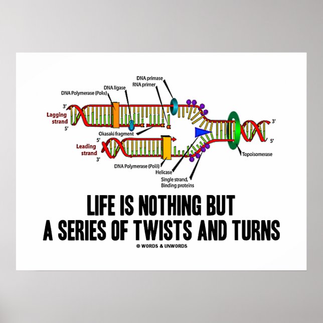 Life Is Nothing But A Series Of Twists And Turns Poster (Front)