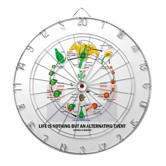 Life Is Nothing But An Alternating Event (Flower) Dart Board