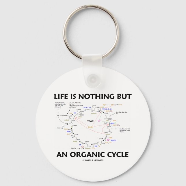 Life Is Nothing But An Organic Cycle (Krebs Cycle) Keychain (Front)
