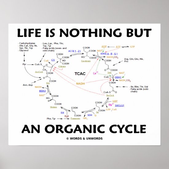 Life Is Nothing But An Organic Cycle Krebs Cycle Poster