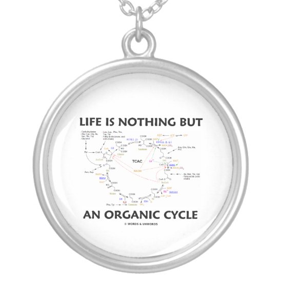 Life Is Nothing But An Organic Cycle (Krebs Cycle) Silver Plated Necklace