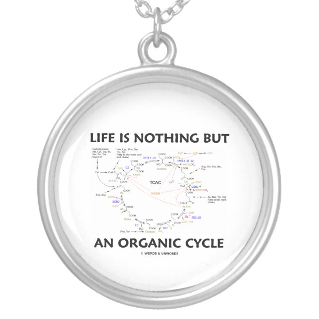 Life Is Nothing But An Organic Cycle (Krebs Cycle) Silver Plated Necklace (Front)