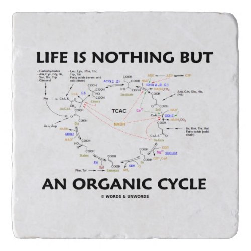 Life Is Nothing But An Organic Cycle Krebs Humor Trivet