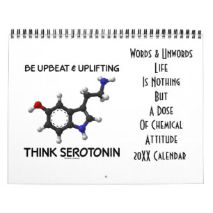 Life Is Nothing But Chemical Attitude 20XX Clndar Calendar