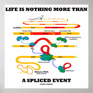 Life Is Nothing More Than A Spliced Event (RNA) Poster