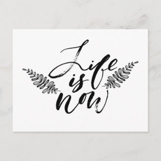 Life Is Now Postcard
