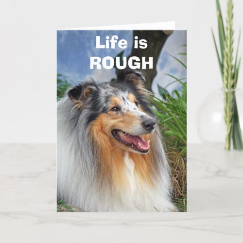 Life is Rough blue merle collie dog greeting card