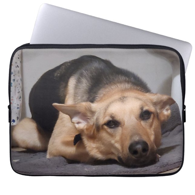 Life is Ruff Laptop Case (Front)