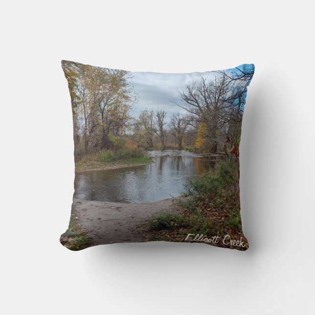 Life is Still Throw Pillow (Front)