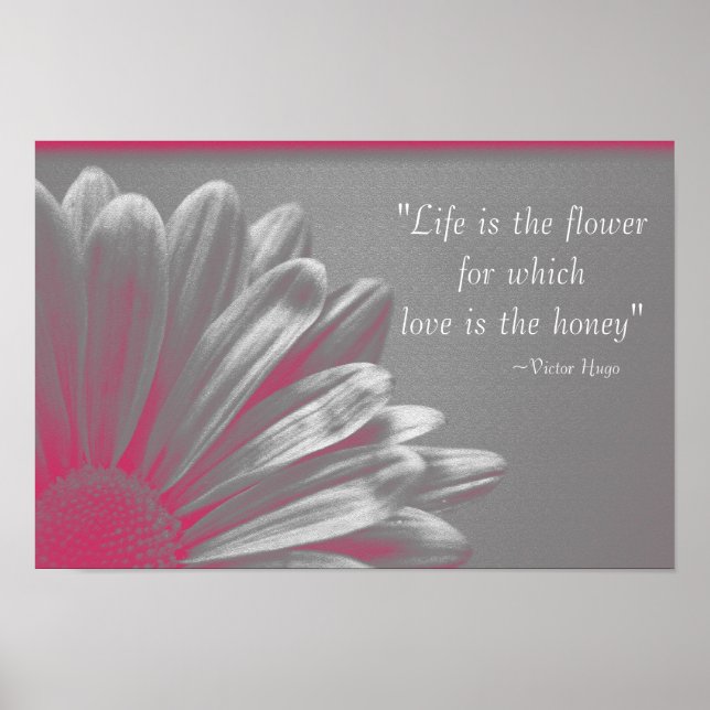 Life is the Flower - Pink Daisy Poster (Front)
