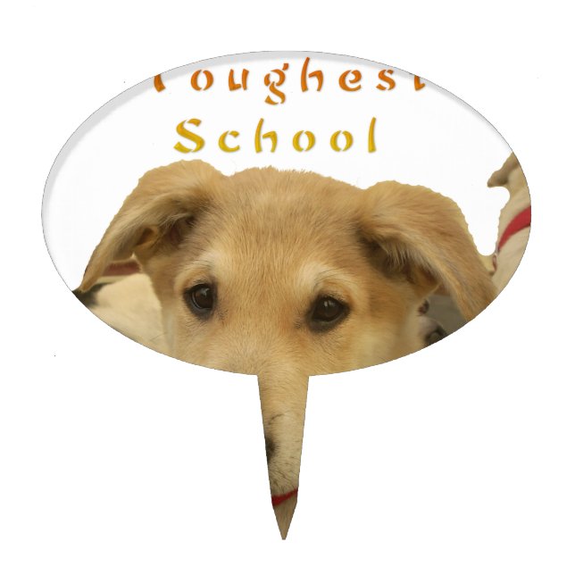 "Life is the Toughest School" Dog Art Print Cake Topper (Front)