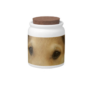 "Life is the Toughest School" Dog Art Print Candy Jar