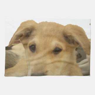 "Life is the Toughest School" Dog Art Print Towel