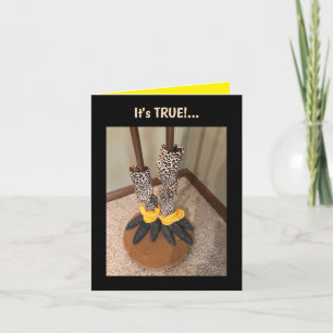 Life is too Short...Folded Greeting Card