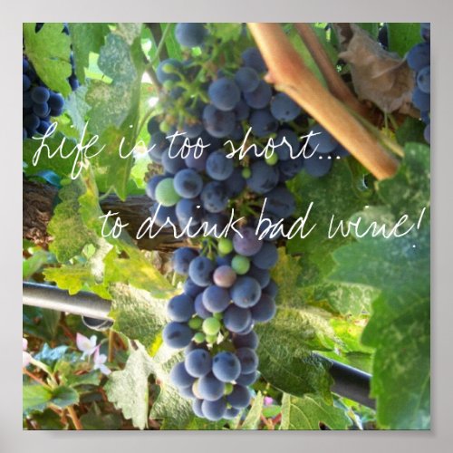 Life is too shortto drink bad wine poster