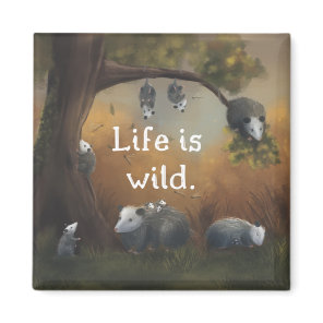 Life is Wild Opossum Opposites Magnet