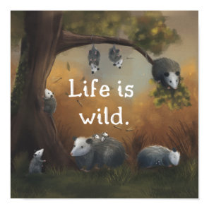 Life is Wild Opossum Opposites Poster