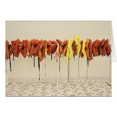 Life Jackets (Front Horizontal)