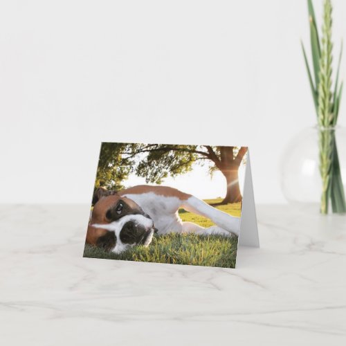 Life Kicking Your Tail Too Boxer Note Card