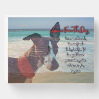 Life Lesson From The Dog Wooden Box Sign