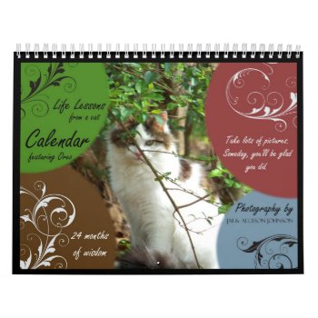 Life Lessons From A Cat Calendar by jaisjewels at Zazzle