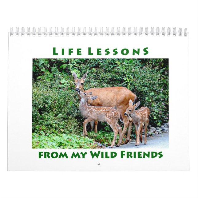 Life Lessons Wild Animal Calendar (Cover)