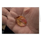 Life Lines 2014 (Front Horizontal)