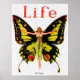 Life Magazine - The Flapper Poster | Zazzle