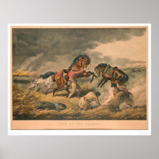 Life on Prairie: Trapper's Defence (0879A) Poster