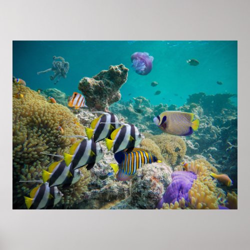 Life on the Coral Reef  Illuminated Landscape  Poster