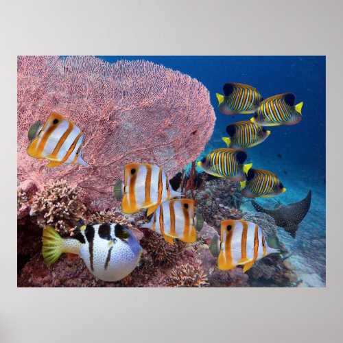 Life on the Coral Reef  Pink Fan Coral and Fish Poster