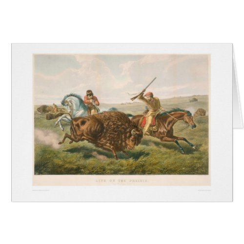 Life on the Prairie The Buffalo Hunt 0878A