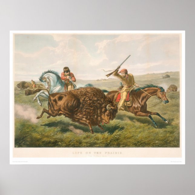 Life on the Prairie: The Buffalo Hunt (0878A) Poster (Front)